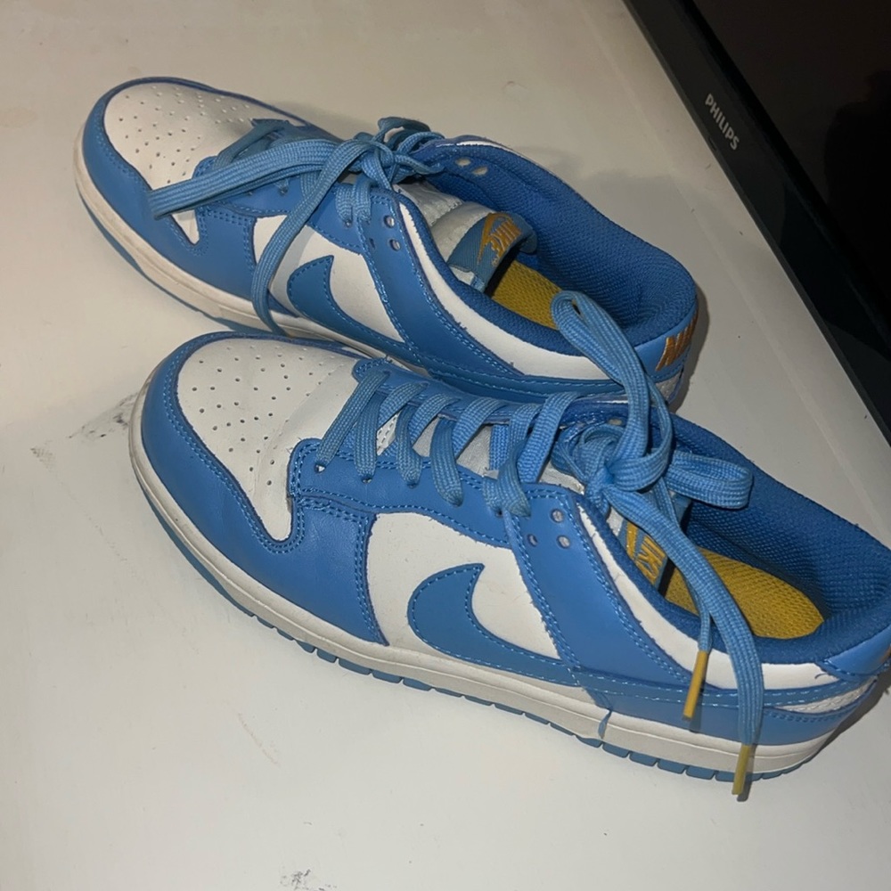 6.5 nike dunks(not real)